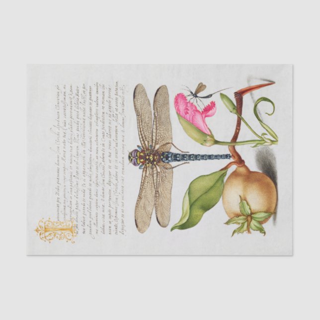 Calligraphy (Dragonfly, Carnation & Pear )     Tissue Paper (Front)