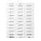 Calligraphy Elegant Black & White Bold Retro