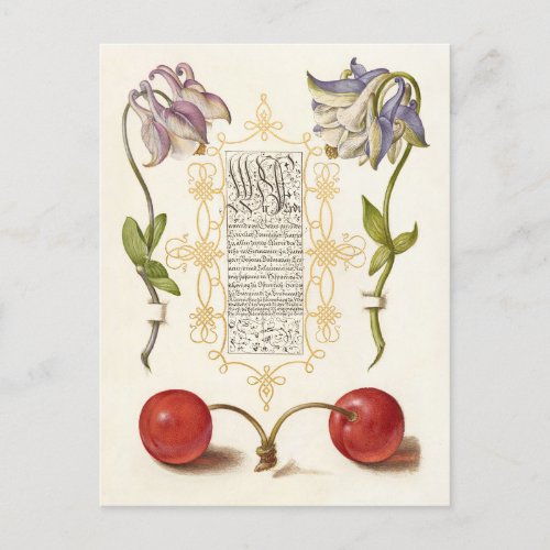 Calligraphy gilded hand writing columbine cherry holiday postcard