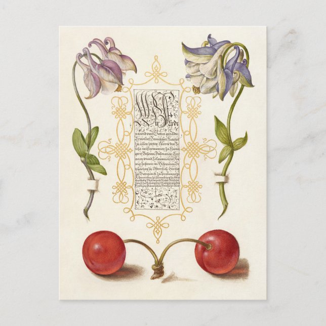 Calligraphy gilded hand writing columbine cherry holiday postcard (Front)