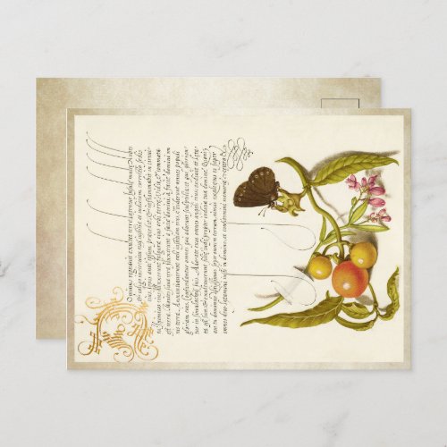 Calligraphy gilded initial vintage plants ringlet holiday postcard