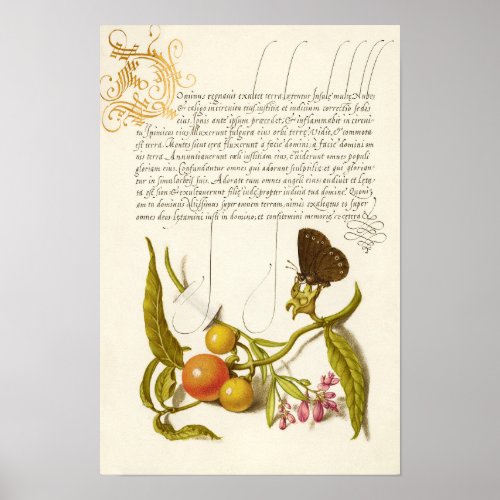 Calligraphy gilded initial vintage plants ringlet poster