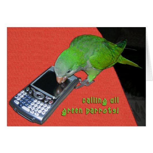 Calling All Green Parrot Cards (Front Horizontal)