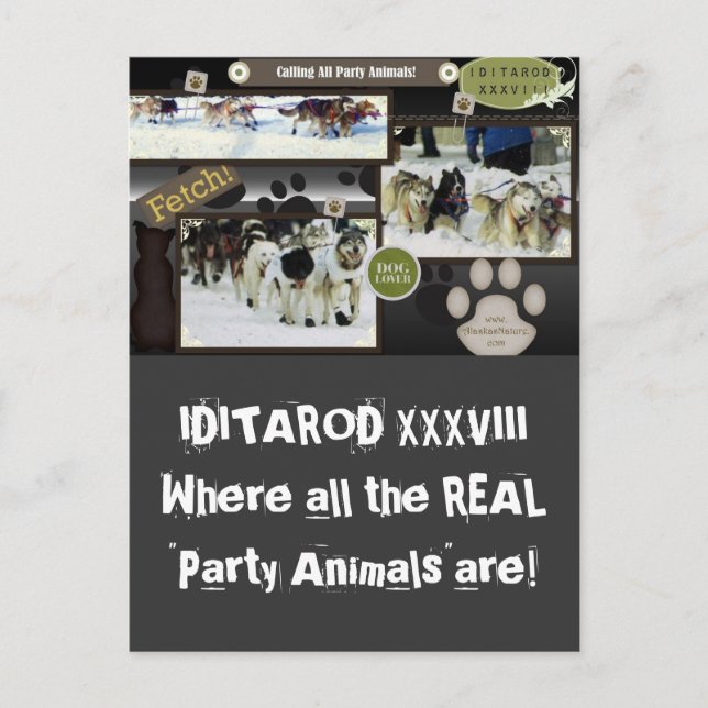Calling all party animals! postcard (Front)