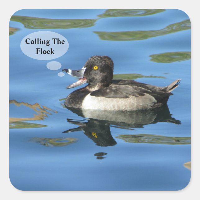 Calling the Flock Humorous Duck Announcement Seal (Front)