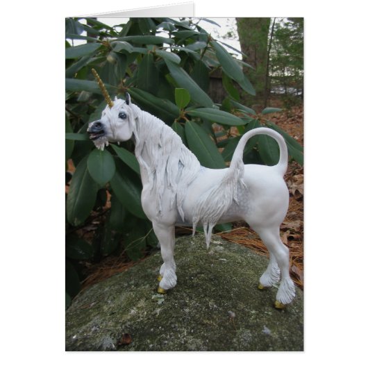 Calling Unicorn (Front)