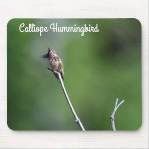 Calliope Hummingbird Mouse Pad