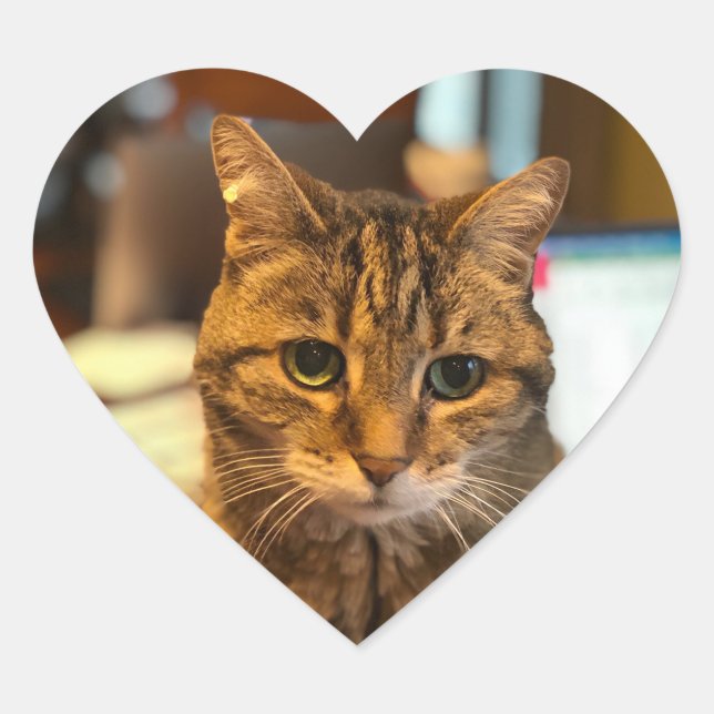 calliope Sticker (Front)