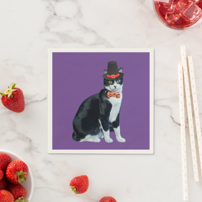 Calliope's Pilgrim Hat Napkins (Insitu)