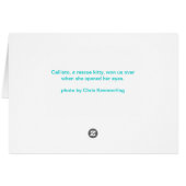 Callisto, silver tabby rescue cards (Back Horizontal)