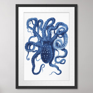 Callistoctopus macropus (White-spotted Octopus) Framed Art