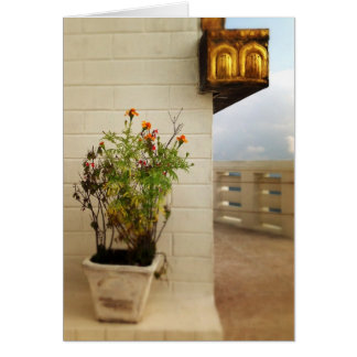 Calm and space in Nepal Cards