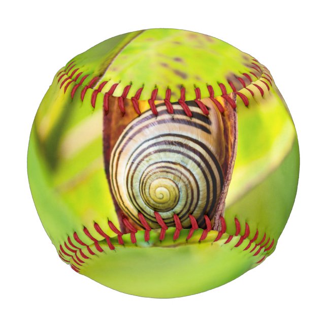 calm attachment baseball (Front)