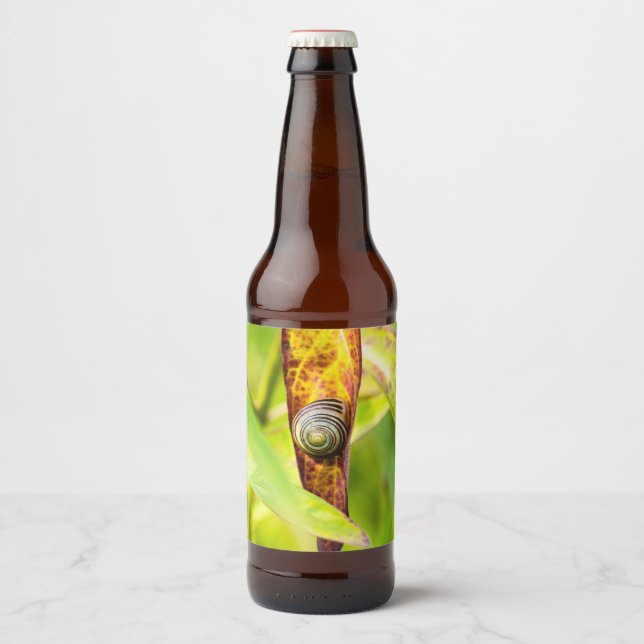 calm attachment beer bottle label (Front)