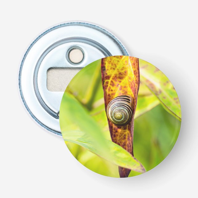 calm attachment bottle opener (Front)