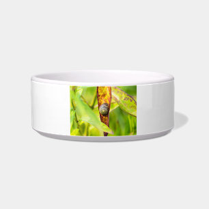 calm attachment bowl