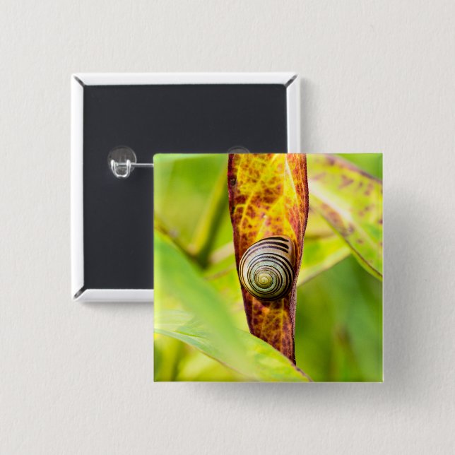 calm attachment button (Front & Back)