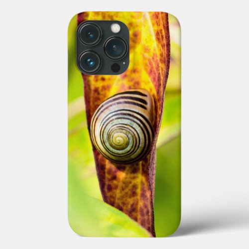 calm attachment Case_Mate iPhone case