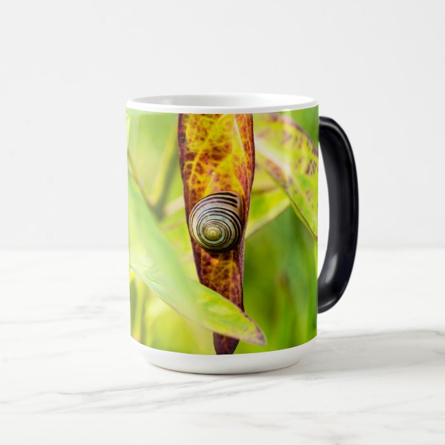 calm attachment color morph mug  (Front Right)
