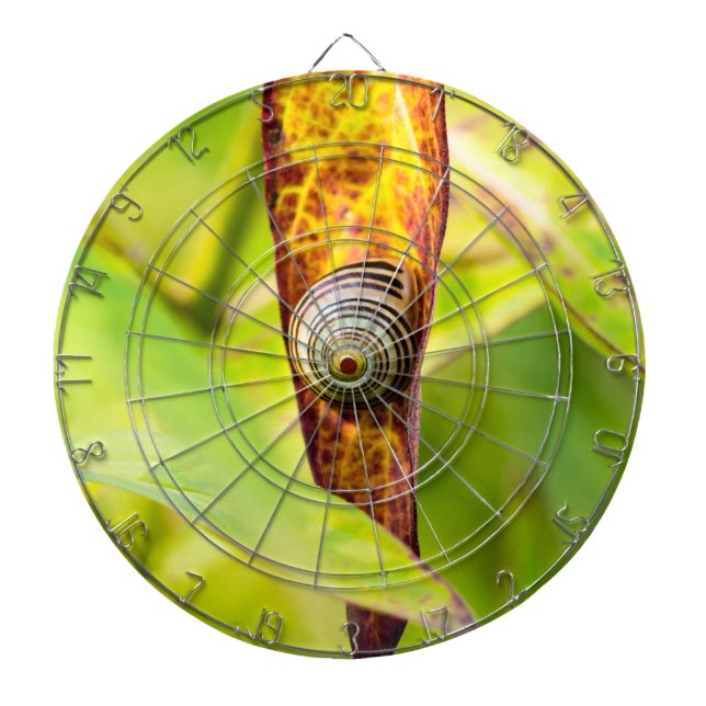 calm attachment dart board (Front)