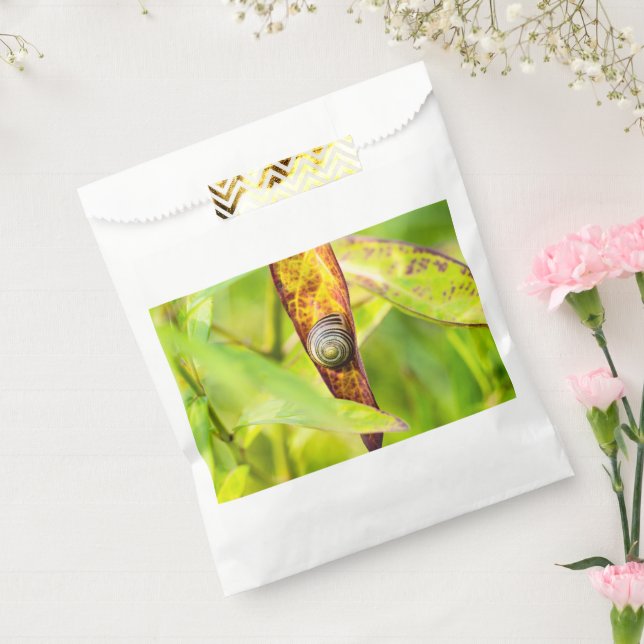 calm attachment favor bag (Sealed)