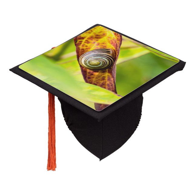 calm attachment graduation cap topper (Angled)