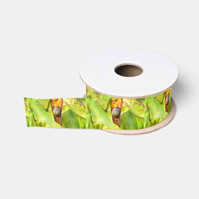 calm attachment grosgrain ribbon (Spool)