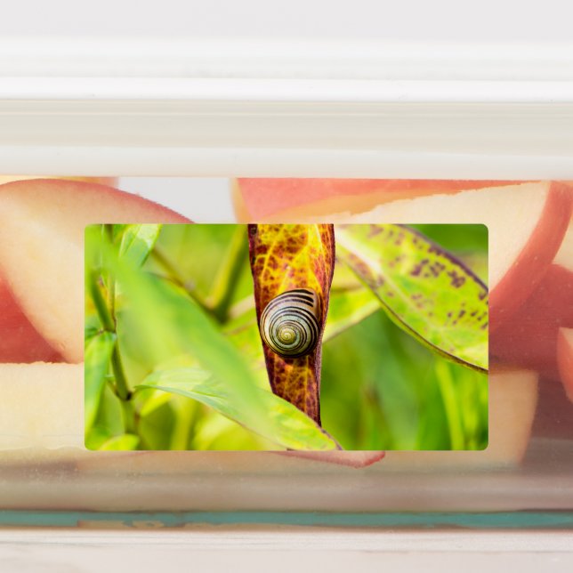 calm attachment labels (Affixed)