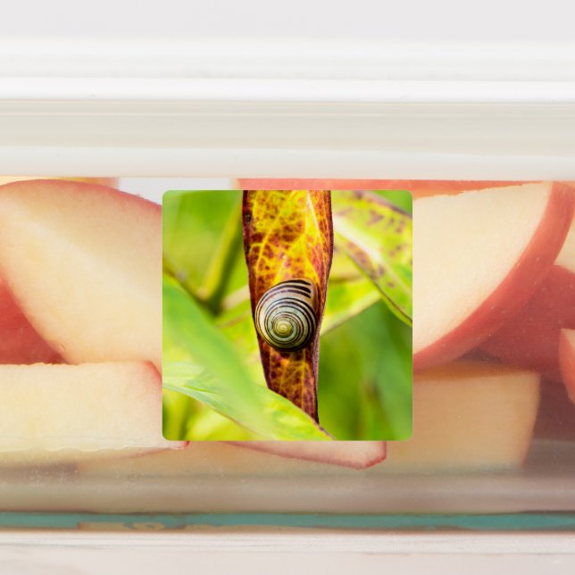 calm attachment labels (Affixed)