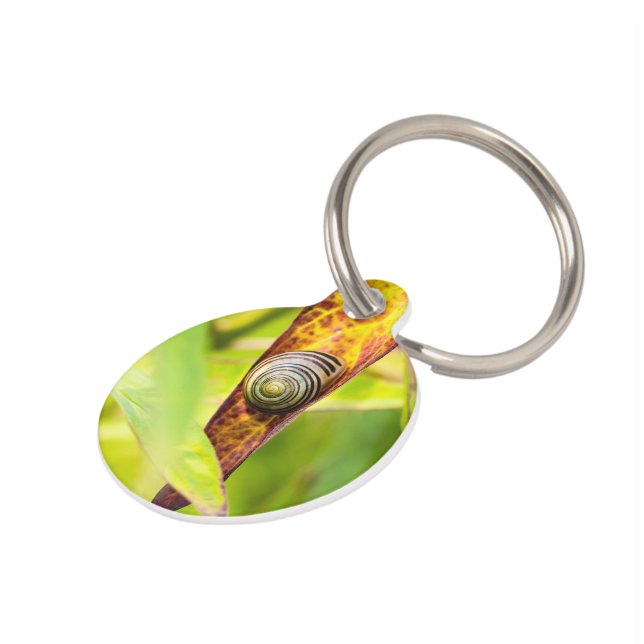 calm attachment pet ID tag (Side)