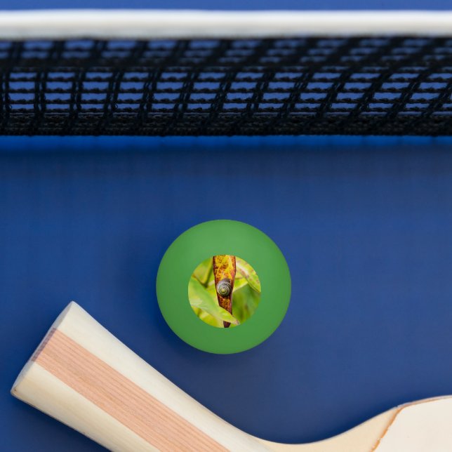 calm attachment ping pong ball (Table)