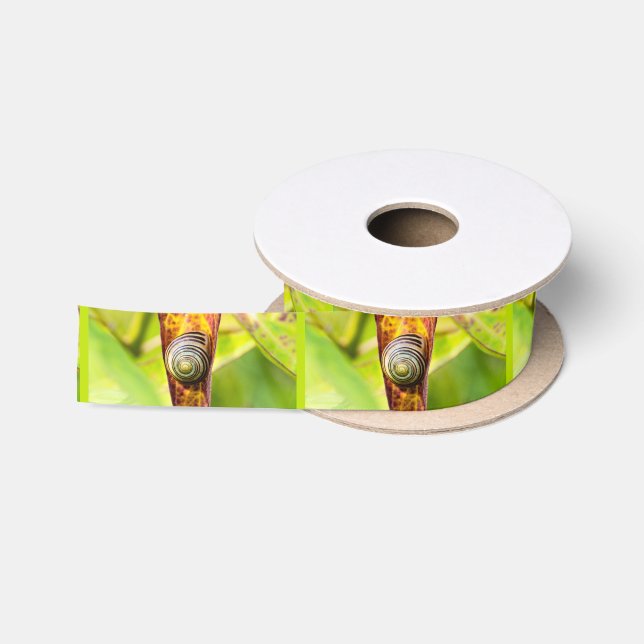 calm attachment satin ribbon (Spool)