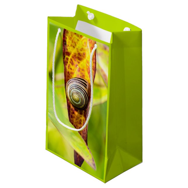 calm attachment small gift bag (Front Angled)
