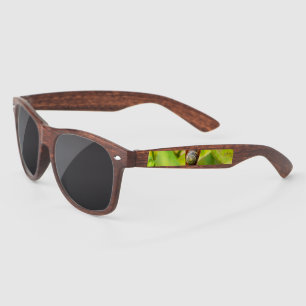 calm attachment sunglasses
