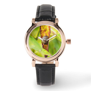 calm attachment watch