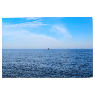 Calm Black Sea Romania – Seagulls Blue Sky Print