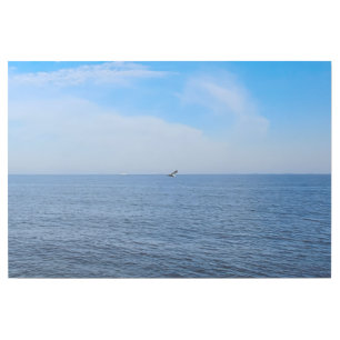 Calm Black Sea Romania – Seagulls Blue Sky Print