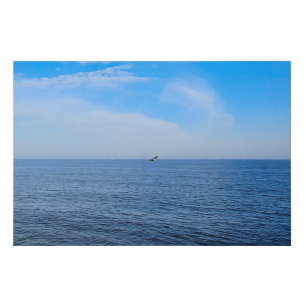 Calm Black Sea Romania – Seagulls Blue Sky Print