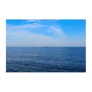 Calm Black Sea Romania – Seagulls Blue Sky Print Acrylic Print