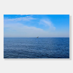 Calm Black Sea Romania – Seagulls Blue Sky Print Foam Board