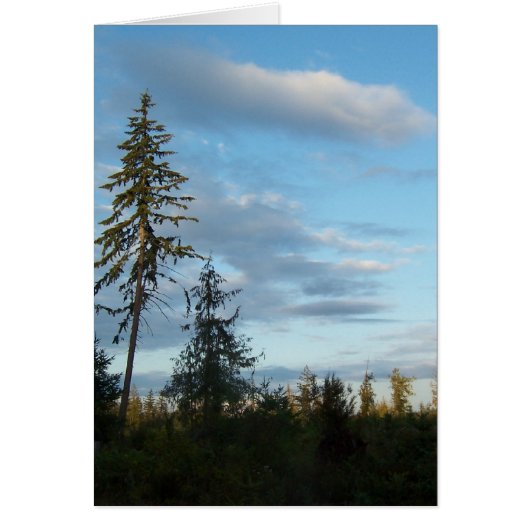 Calm Blue Skies Cards (Front)