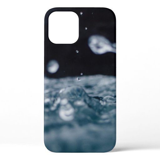 CALM BODY OF WATER iPhone 12 CASE
