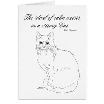 Calm Cat by MaggieRossCats at Zazzle