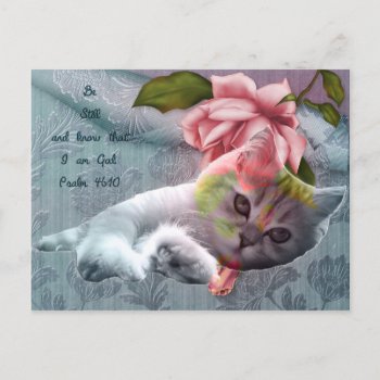 Calm Cat Comfort Scripture Postcard by dickens52 at Zazzle