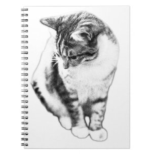 Calm Cat Looking Down Portrait Notebook
