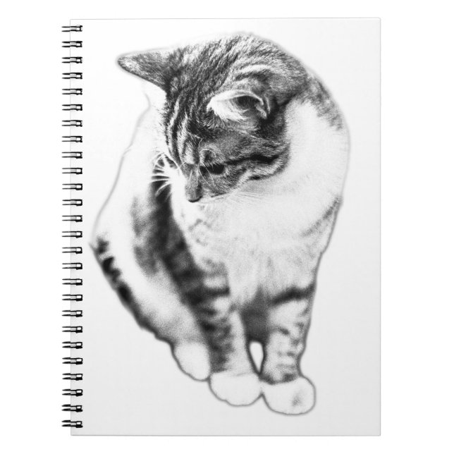 Calm Cat Looking Down Portrait Notebook (Front)