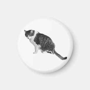 Calm Cat Magnet Invites Peace Into Home Spaces
