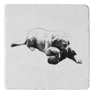 Calm Claim Trivet