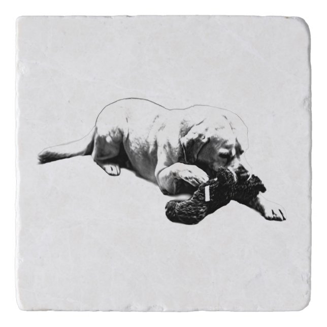 Calm Claim Trivet (Front)