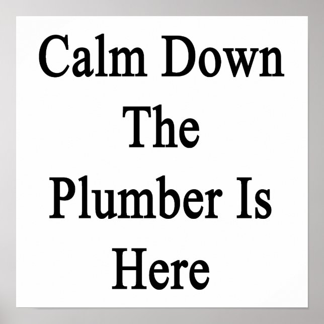 Calm Down The Plumber Is Here Poster (Front)